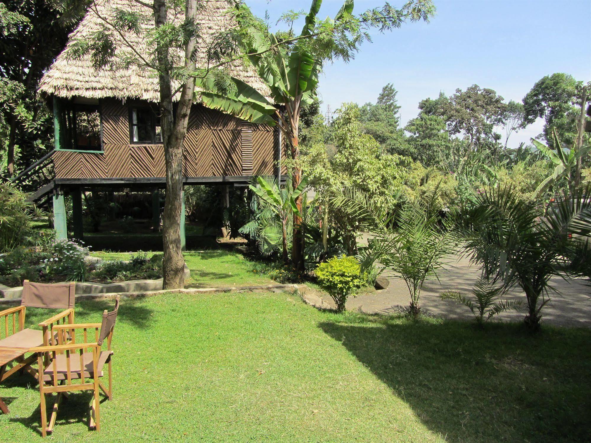 L Oasis Lodge And Restaurant Arusha Exteriér fotografie