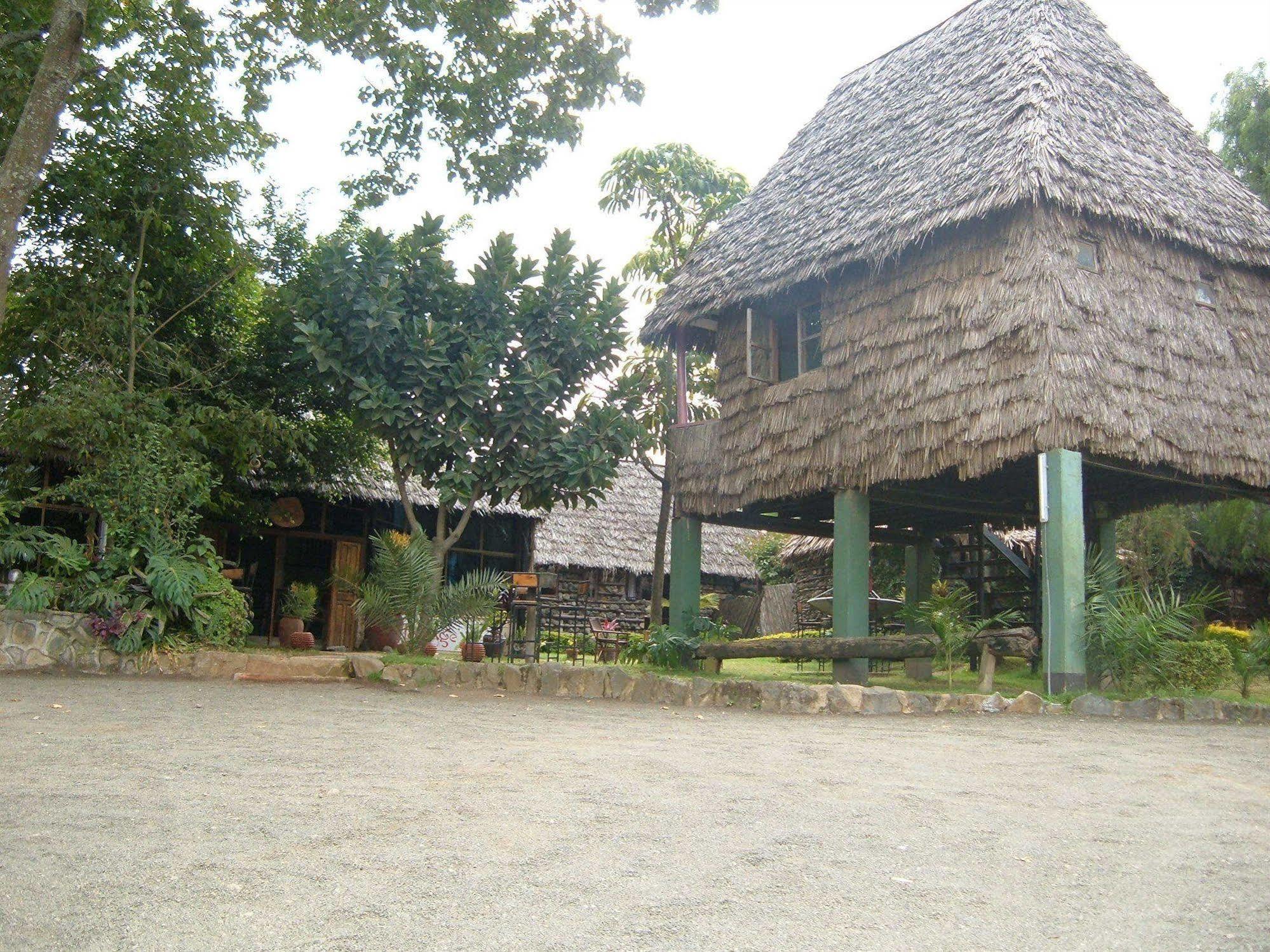 L Oasis Lodge And Restaurant Arusha Exteriér fotografie